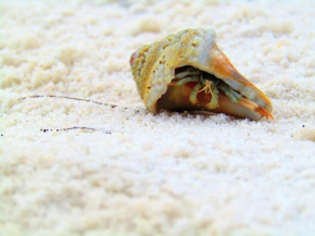 Seaside Beach & Racquet Club
